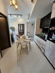 The Rise @ Oxley (D9), Condominium #584333481